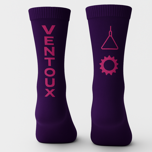 Chaussettes signature Pista